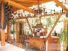 V�zsonyv�lgy Panzi�-�tterem - Nagyv�zsony - Nagy�t�shoz kattintson a k�pre!