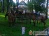 V�zsonyv�lgy Panzi�-�tterem - Nagyv�zsony - Nagy�t�shoz kattintson a k�pre!