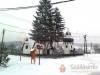 Haranghegyi Hajl�k - Martonyi - Nagy�t�shoz kattintson a k�pre!