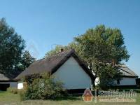 V�nep�rf�s Tanya - Izs�k