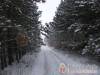 V�nep�rf�s Tanya - Izs�k - Nagy�t�shoz kattintson a k�pre!
