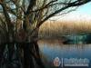V�nep�rf�s Tanya - Izs�k - Nagy�t�shoz kattintson a k�pre!