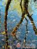 V�nep�rf�s Tanya - Izs�k - Nagy�t�shoz kattintson a k�pre!
