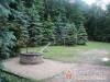 V�rtes Ifj�s�gi T�bor - M�r - Nagy�t�shoz kattintson a k�pre!