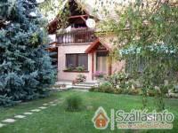Vir�g Vend�gh�z - Bajna