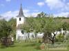 Well Panzi� - Orf� - Nagy�t�shoz kattintson a k�pre!