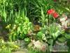 Z�ld Di� Vend�gh�z - V�s�rosnam�ny - Nagy�t�shoz kattintson a k�pre!