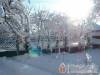 Z�ld Di� Vend�gh�z - V�s�rosnam�ny - Nagy�t�shoz kattintson a k�pre!