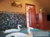 Apartman 63518 - Hajdúszoboszló - Nagyításhoz kattintson a képre!