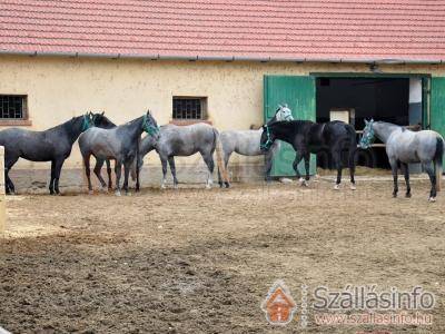 Vendégház 64918 (North Hungary > Heves megye > Szilvásvárad)