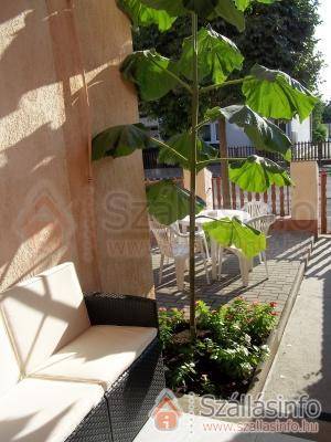 Apartmanház 65458 (South Transdanubian > Somogy megye > Siófok)