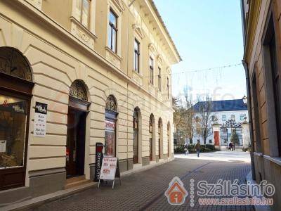 Agria Vintage Apartman (North Hungary > Heves megye > Eger)