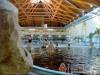 Aqua Hotel Gyula*** - Gyula - Nagyításhoz kattintson a képre!
