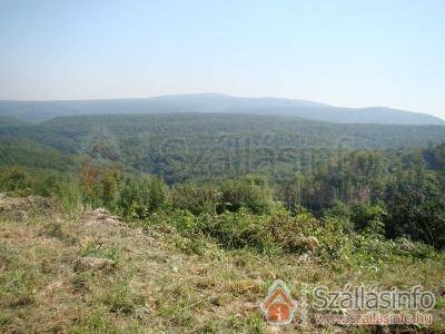 Bakonyi Sárgarigó Vendégház (Zentral Transdanubien > Veszprém megye > Bakonybél)