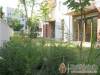 Balaton Wellness Apartman - Siófok - Nagyításhoz kattintson a képre!
