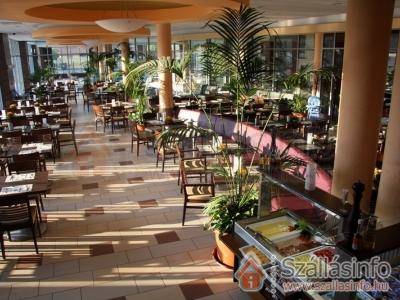 Balneo Hotel Zsori Thermal & Wellness**** (Észak-Magyarország > Borsod-Abaúj-Zemplén megye > Mezőkövesd-Zsóry-fürdő)