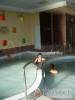 Balneo Hotel Zsori Thermal & Wellness**** - Mezőkövesd-Zsóry-fürdő - Nagyításhoz kattintson a képre!