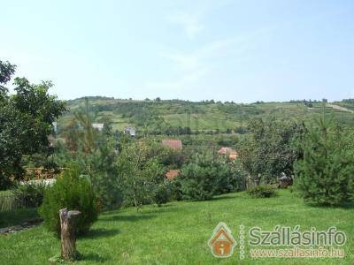 Borbarát Vendégház (North Hungary > Borsod-Abaúj-Zemplén megye > Mád)