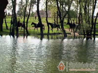 Borostyán Birtok Panzió (Dél-Alföld > Csongrád megye > Szeged-Gyálarét)