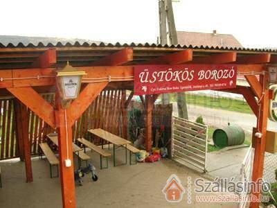 Csillagfény Vendégház (Észak-Magyarország > Heves megye > Egerszalók)