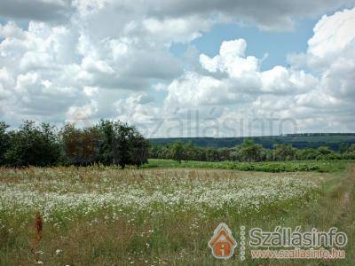 Dió-Lak Vendégház (North Hungary > Heves megye > Feldebrő)