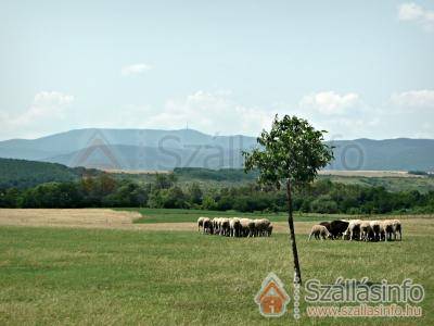 Dió-Lak Vendégház (Nord Ungarn > Heves megye > Feldebrő)