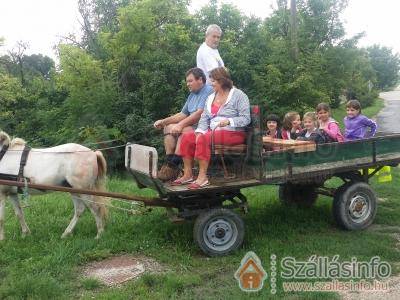 Família Vendégház (Közép-Dunántúl > Veszprém megye > Csajág)