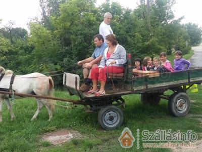 Família Vendégház (Zentral Transdanubien > Veszprém megye > Csajág)