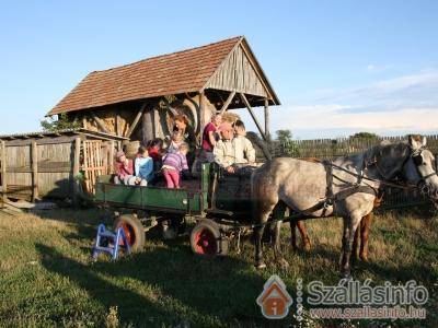 Főnix Apartman (North Plain > Hajdú-Bihar megye > Hajdúszoboszló)