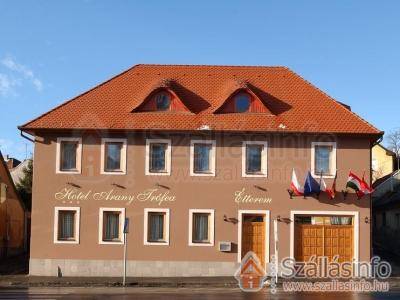 Hotel Arany Trófea (North Hungary > Heves megye > Eger)