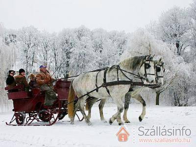 Hotel Szépalma (Zentral Transdanubien > Veszprém megye > Porva-Szépalmapuszta)