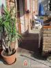 Janicsár Garden Apartman - Eger - Nagyításhoz kattintson a képre!
