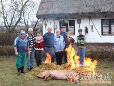 Kentaur Üdülőcentrum (Dél-Dunántúl > Somogy megye > Balatonboglár)