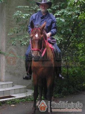 Mathias Lovaspanzió (Budapest und die Umgebung > Pest megye > Kemence-Királyháza)