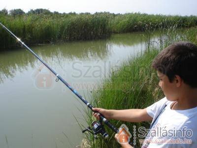 Napsugár Vendégház (Dél-Alföld > Bács-Kiskun megye > Kiskőrös)