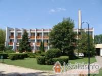 Nereus Park Hotel*** - Balatonalmádi