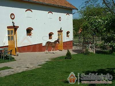 Nyerges Lovasudvar (North Hungary > Borsod-Abaúj-Zemplén megye > Cserépfalu)