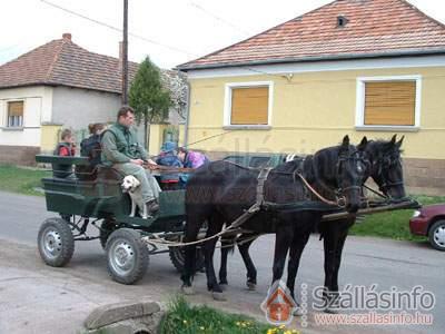 Nyerges Lovasudvar (North Hungary > Borsod-Abaúj-Zemplén megye > Cserépfalu)