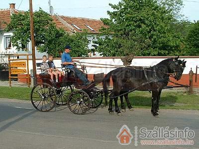 Nyerges Lovasudvar (North Hungary > Borsod-Abaúj-Zemplén megye > Cserépfalu)