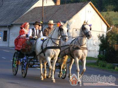 Romantyk Vendégház (South Transdanubian > Baranya megye > Mánfa)