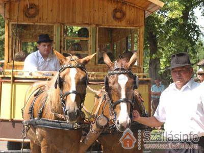 Sóstói Lovaskemping és Turistaház (North Plain > Szabolcs-Szatmár-Bereg megye > Sóstófürdő)