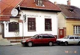 Szkelykert Vendgl-Panzi