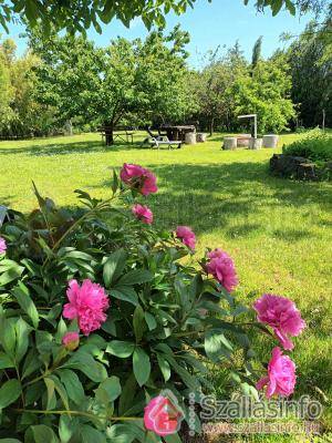 Tea Apartman (Nyugat-Dunántúl > Zala megye > Balatongyörök)