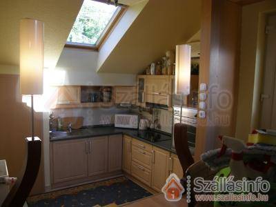Tomi Apartman (South Transdanubian > Baranya megye > Pécs)