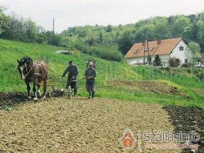 Tücsöktanya Vendégház (West Transdanubien > Vas megye > Kétvölgy)