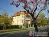 Villa Sakura Panzió - Sopron - Nagyításhoz kattintson a képre!