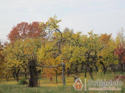 Zöldkapus Vendégház (Észak-Magyarország > Borsod-Abaúj-Zemplén megye > Fony)